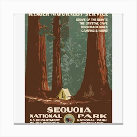 Sequoia National Park Canvas Print