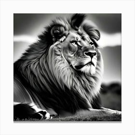 Lionnn 3 Canvas Print