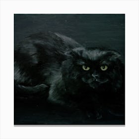 Black Cat Square Canvas Print
