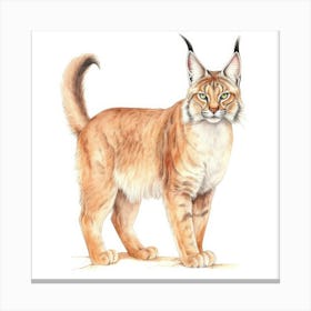 Desert Lynx Cat Portrait 2 Canvas Print