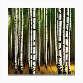 Birch Forest 23 Canvas Print