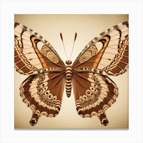 Butterfly - Butterfly Stock Videos & Royalty-Free Footage Canvas Print