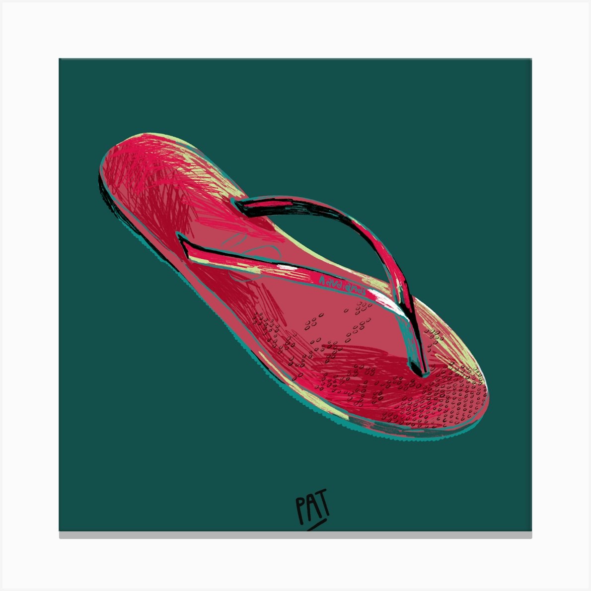 havaianas canvas