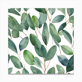 Illustrative Albedo Watercolor Eucalyptus Leaves Art 1 Canvas Print