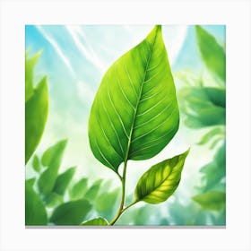 Green Leaf In The Forest 2 Canvas Print