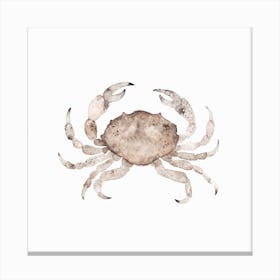 Crab 1 Canvas Print