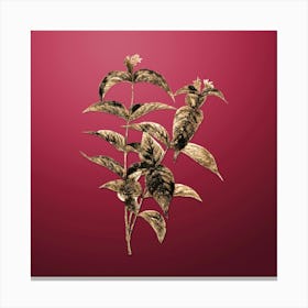 Gold Botanical Northern Bush Honeysuckle Flowers on Viva Magenta n.1193 Canvas Print