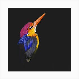 Kingfisher Canvas Print