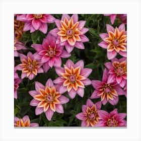 Dahlias Canvas Print