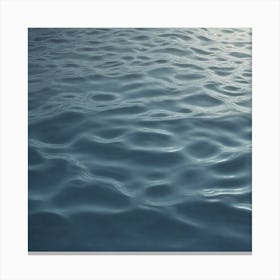 Water Ripples 19 Canvas Print
