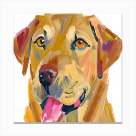 Labrador Retriever 04 Canvas Print