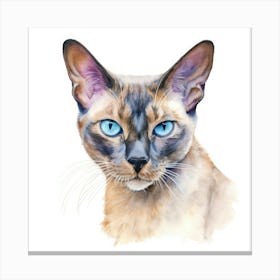 Thai Cat Portrait Canvas Print