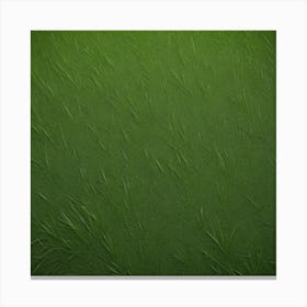 Grass Texture Canvas Print