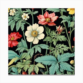 flowers , A Vintage Botanical Illustration Of Flowers And Plants art print 3 Canvas Print