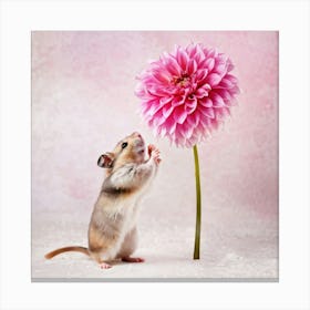 Hamster Clasping A Pink Dahlia In Its Delicate Paws Fur Texture Detailed Dahlia Petals Exhibiting Canvas Print