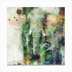 Elephant 2 Square Canvas Print
