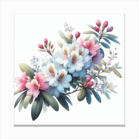 Flowers of Rhododendron 1 Canvas Print