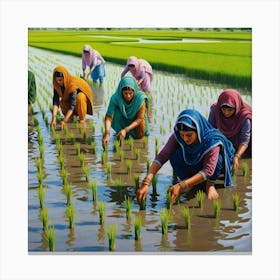 An Image Of Women Working In Rice Field, Planting The Rice Saplings, Pakistan. 2 Toile