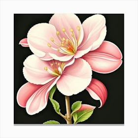 Cherry Blossom 2 Canvas Print