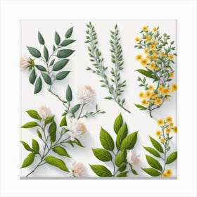 Set Of Botanical Flowers myluckycharm Canvas Print