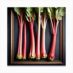 Rhubarb 55 Canvas Print