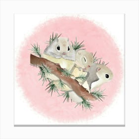 Squirrels/Écureuil volant de Sibérie Canvas Print