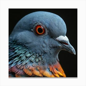 Pigeon Portrait Canvas Print