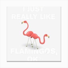 Funny Flamingo Pink Flamingos Lover Gift Ideas Kids Canvas Print