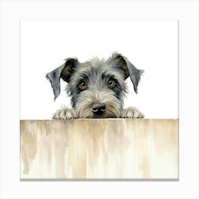 Schnauzer 15 Canvas Print