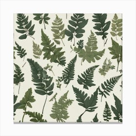 Leafs of Fern, Vector art Canvas Print