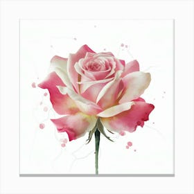 Pink Rose Canvas Print