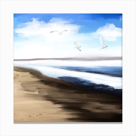 Coastal Seagulls Canvas Print