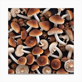 Mushrooms On A Black Background 4 Canvas Print