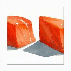 Two Pieces Of Salmon Canvas Print