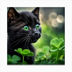 Lucky Black Cat In Clover Canvas Print