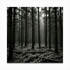 Dark Forest 113 Canvas Print