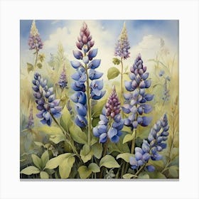 Lupins art print Canvas Print