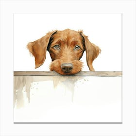 Wirehaired Vizsla Dog 1 Canvas Print