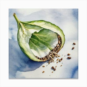 Sprouts Canvas Print