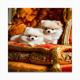 Pomeranian Puppies Canvas Print