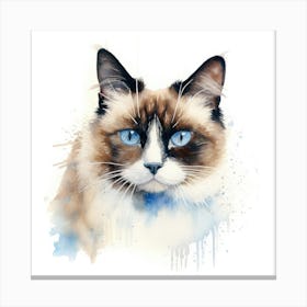 Snowshoe Cat Portrait Canvas Print