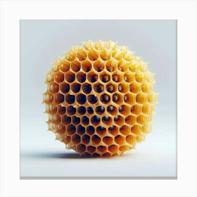 Honeycomb Canvas Print