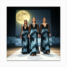 Full Moon 1 Canvas Print