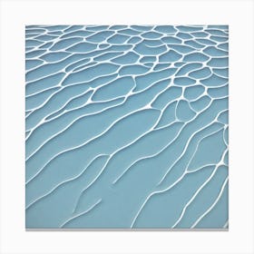 Water Ripples 2 Canvas Print