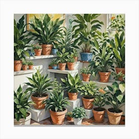 Potted Plants Canvas Print