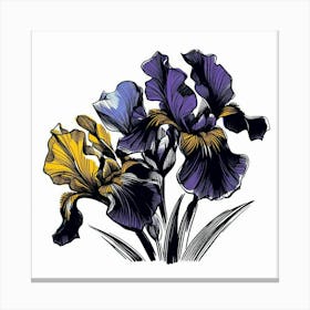 Flowers irises 2 Canvas Print