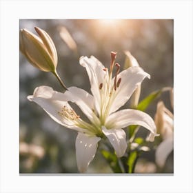 A Blooming Lily Blossom Tree With Petals Gently Falling In The Breeze 1 Canvas Print