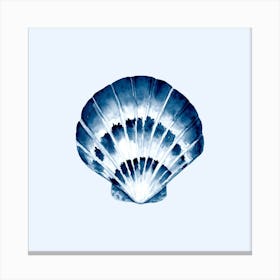 Blue And White Seashell Canvas Print