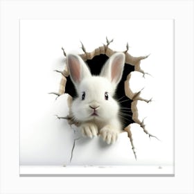 Rabbit Peeking Through A Hole 9 Canvas Print