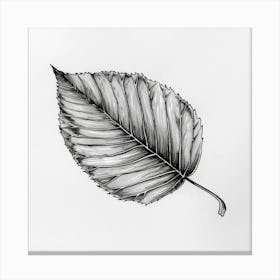 Autumn Leaf in Black and White Ink Canvas Print